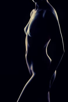 Erotic contour of beautiful nude woman on black background