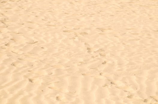 Texture Sand Dune Desert in Gran Canaria Island Spain