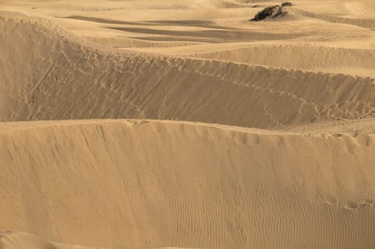 African European Sand Dune Desert Landscape in Gran Canaria Island Spain