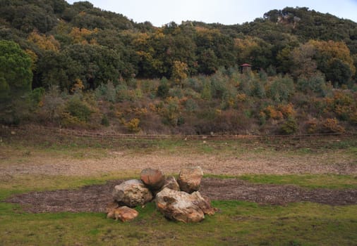 View of stones in the Altesina mountain