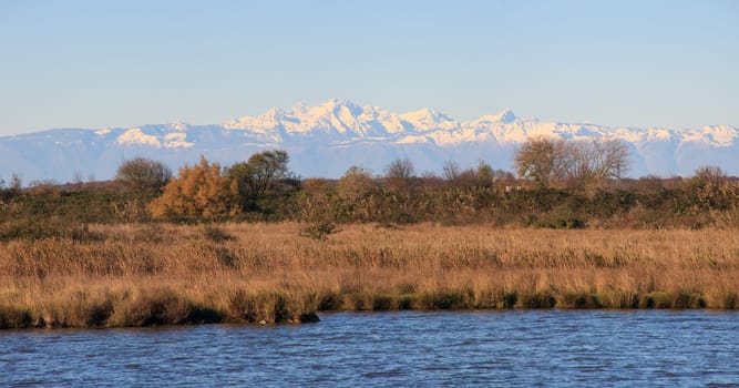 View of Nature reserve of Valle canal Novo, Italy