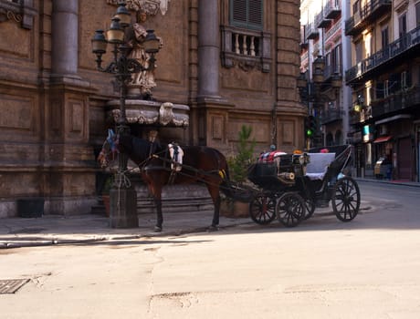Buggy in the Quattro Canti in the Baroque square in Palermo, Italy