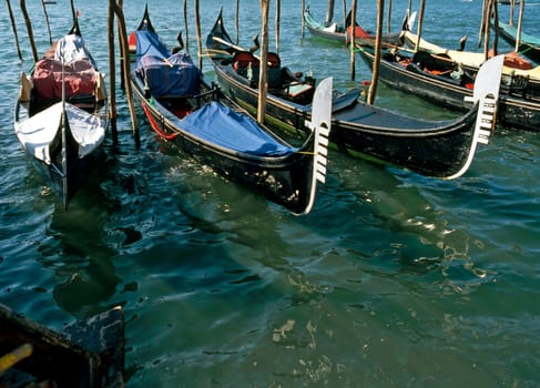 Gondolas in harbor, Venice