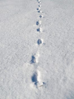 Foot prints in snow on field