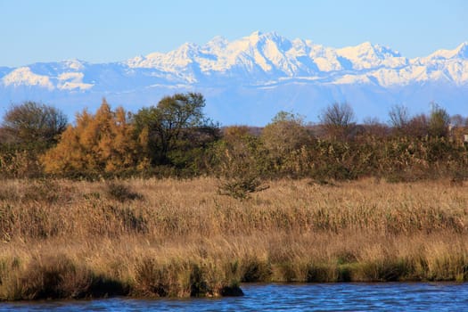 View of Nature reserve of Valle canal Novo, Italy