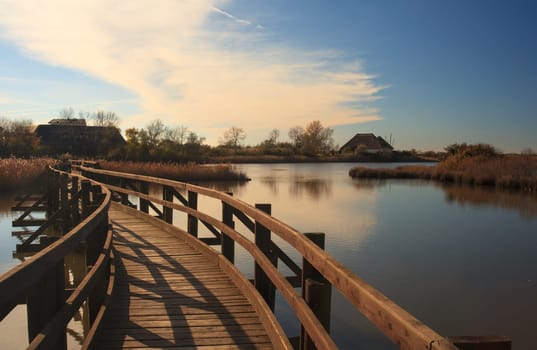 View of Nature reserve of Valle canal Novo, Italy
