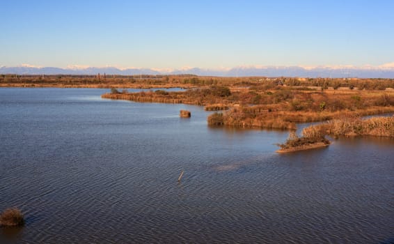 View of Nature reserve of Valle canal Novo, Italy