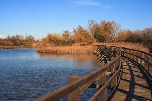 View of Nature reserve of Valle canal Novo, Italy