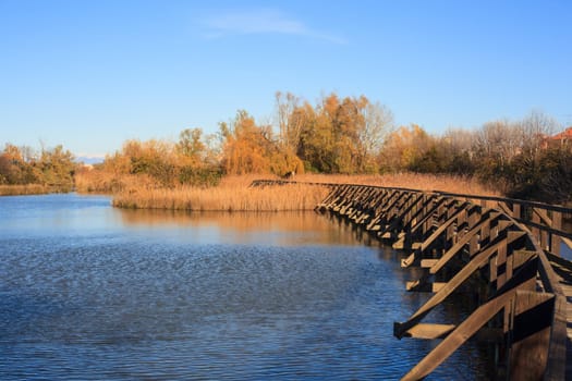 View of Nature reserve of Valle canal Novo, Italy