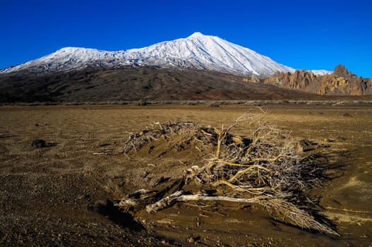 Desert Landscape in Volcan Teide National Park, Tenerife, Canary Island, Spain