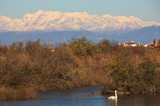 View of Nature reserve of Valle canal Novo, Italy