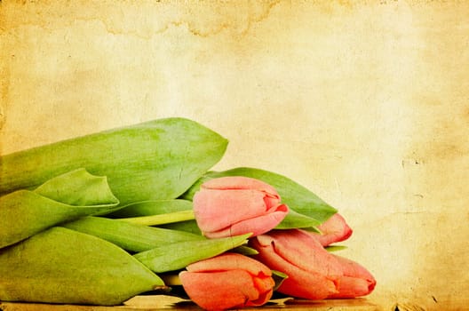 Red tulips over grunge painted background