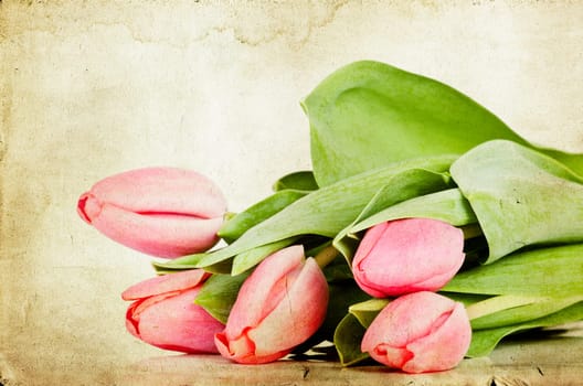 Red tulips over grunge painted background