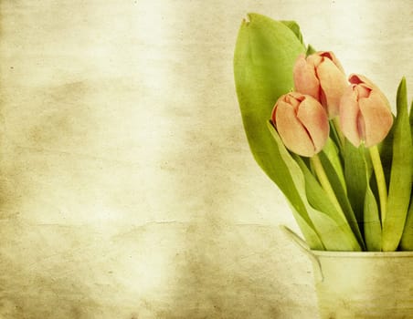 Beautiful pink tulips on vintage background