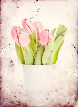 Beautiful pink tulips on vintage background