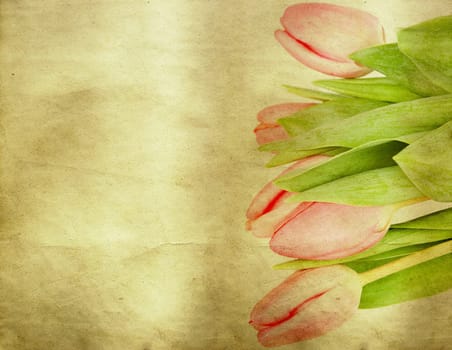 Red tulips over grunge painted background