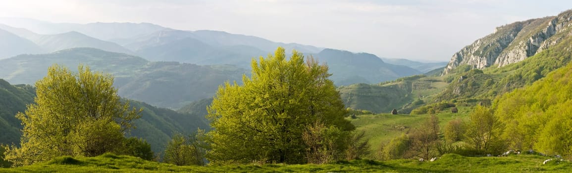 Fresh, clean summer landscape panorama