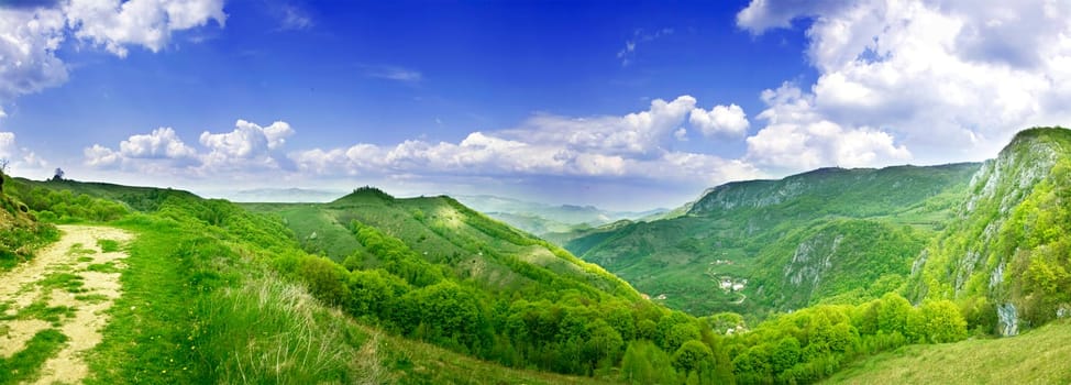 Fresh, clean summer landscape panorama