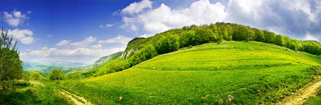 Fresh, clean summer landscape panorama
