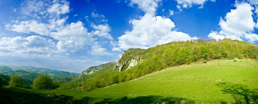 Fresh, clean summer landscape panorama