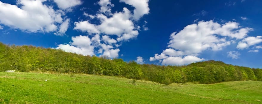 Fresh, clean summer landscape panorama