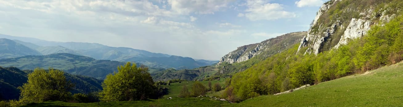 Fresh, clean summer landscape panorama