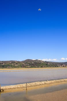View of Salt evaporation ponds in Secovlje, Slovenia