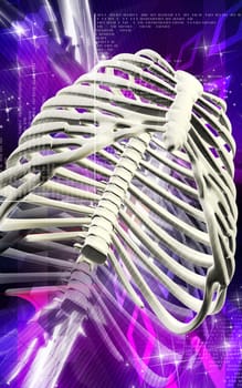 Digital illustration of rib cage in colour background