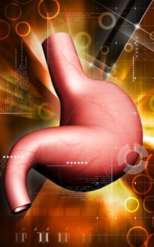 Digital illustration of stomach in colour background