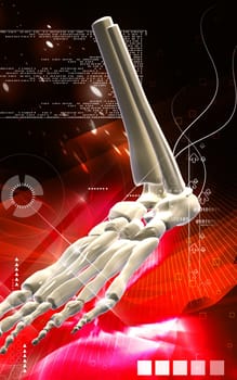 Digital illustration of Leg bone in colour background