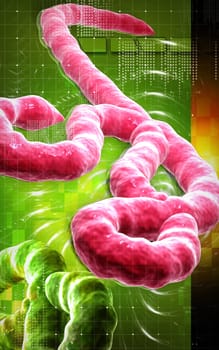 Digital illustration of Ebola virus in colour background