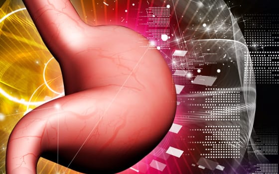 Digital illustration of stomach in colour background