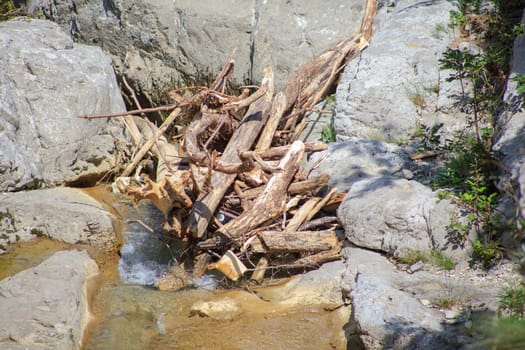 View of lumber in the river in Val Rosandra, italy