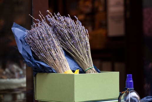 View of lavender flowers in the street shop