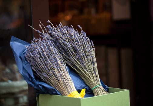 View of lavender flowers in the street shop