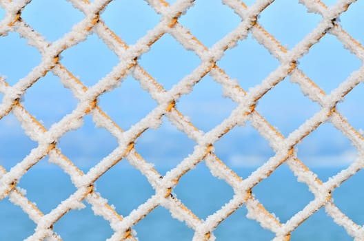 macro shoot with snow on fence..