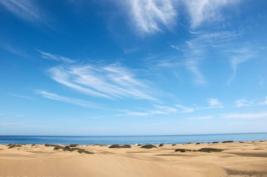 African European Sand Dune Desert Landscape in Gran Canaria Island Spain