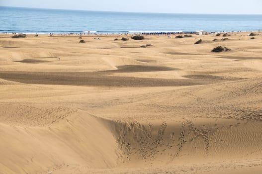 African European Sand Dune Desert Landscape in Gran Canaria Island Spain