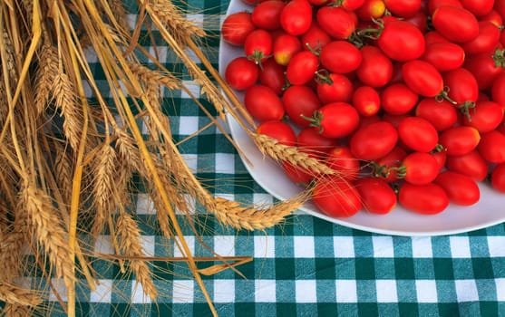 View of Wheat and tomatoes on tablecloth