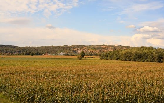 View of italian countryside