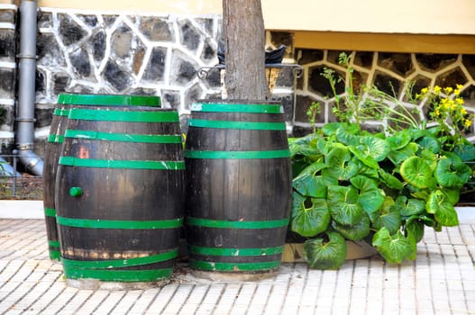 Decorative Old Wooden Barrel on an Urban Garden