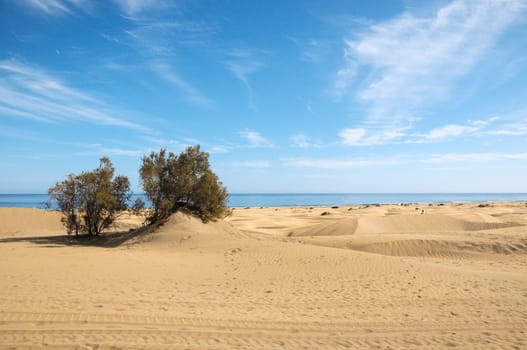 African European Sand Dune Desert Landscape in Gran Canaria Island Spain