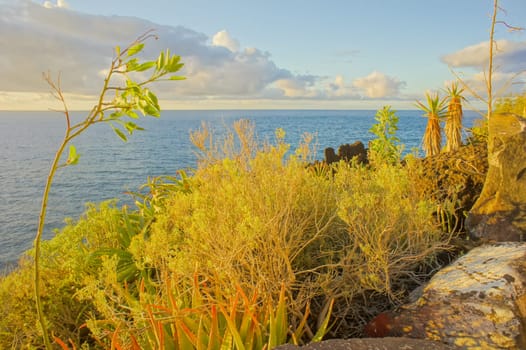 HDR Colred Sunrise Clouds over the Atlantic Ocean in Tenerife Canary Islands