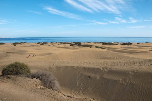African European Sand Dune Desert Landscape in Gran Canaria Island Spain