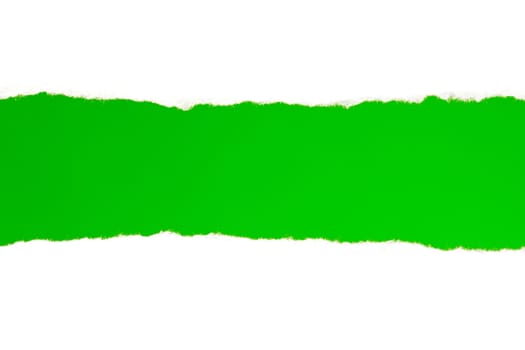 Torn white paper with a green background for your text.