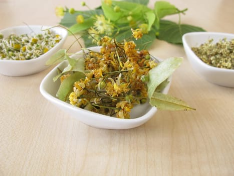 Dried tea herbs and fresh lime blossoms