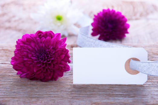 Background with Flowers and Blank Label with Copy Space