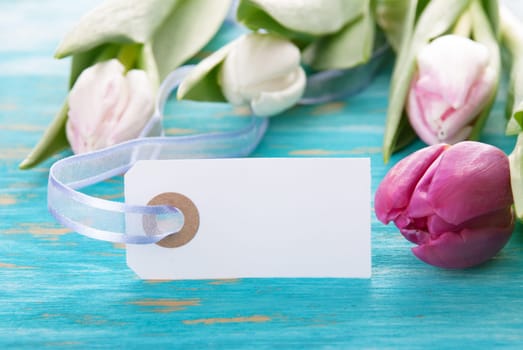 Label with Copy Space and Tulips in the Background
