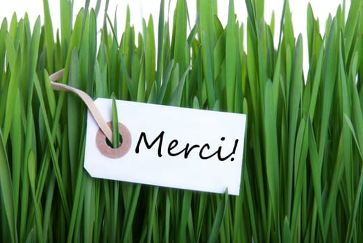Green Grass Background with Merci which means Thanks