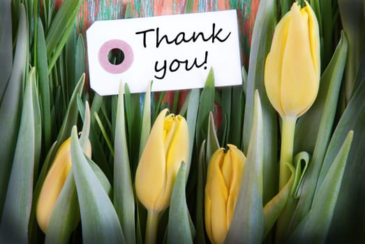Tulip Background with Label with Thank You on it
